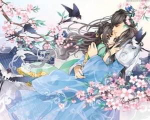 女士中医营养精油spa诱导